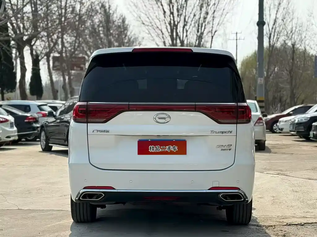 GAC Motor Trumpchi M8 2020 — фото 5