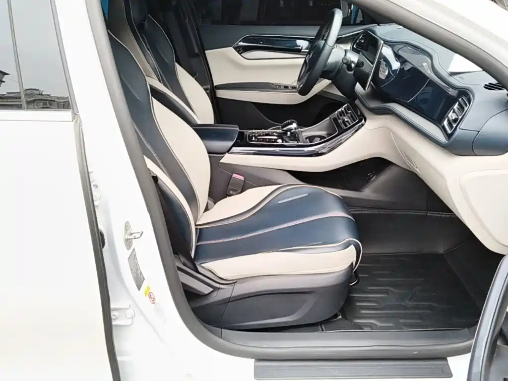 BYD Qin PLUS 2022 — фото 25