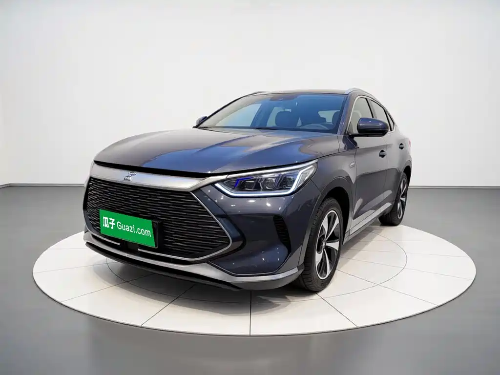 BYD PLUS New Energy 2022 — фото 2