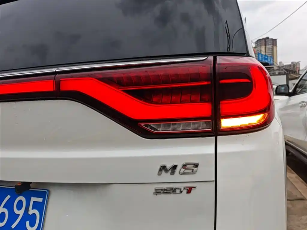 GAC Motor Trumpchi M8 2021 — фото 24