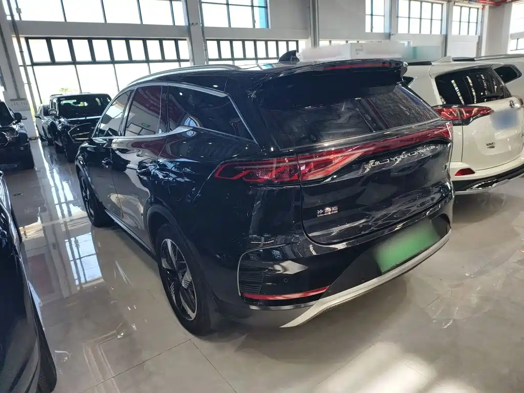 BYD Tang New Energy 2024 — фото 10