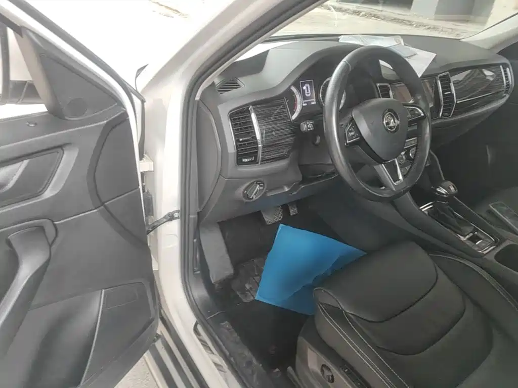 Skoda Kodiaq 2019 — фото 16