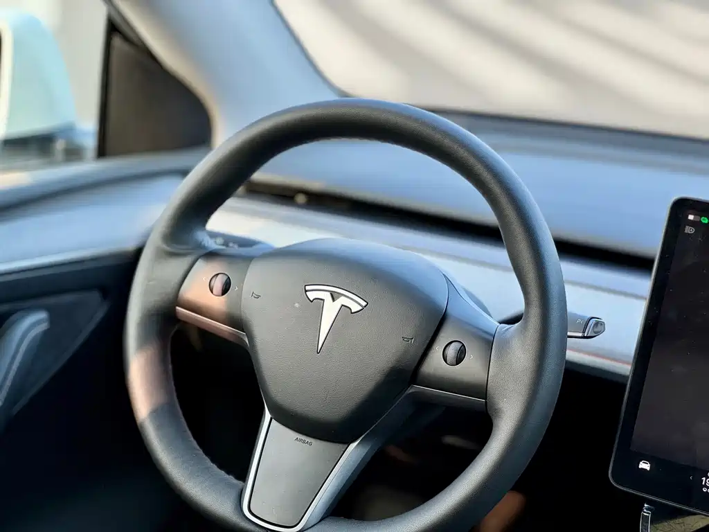 Tesla Model Y 2023 — фото 8