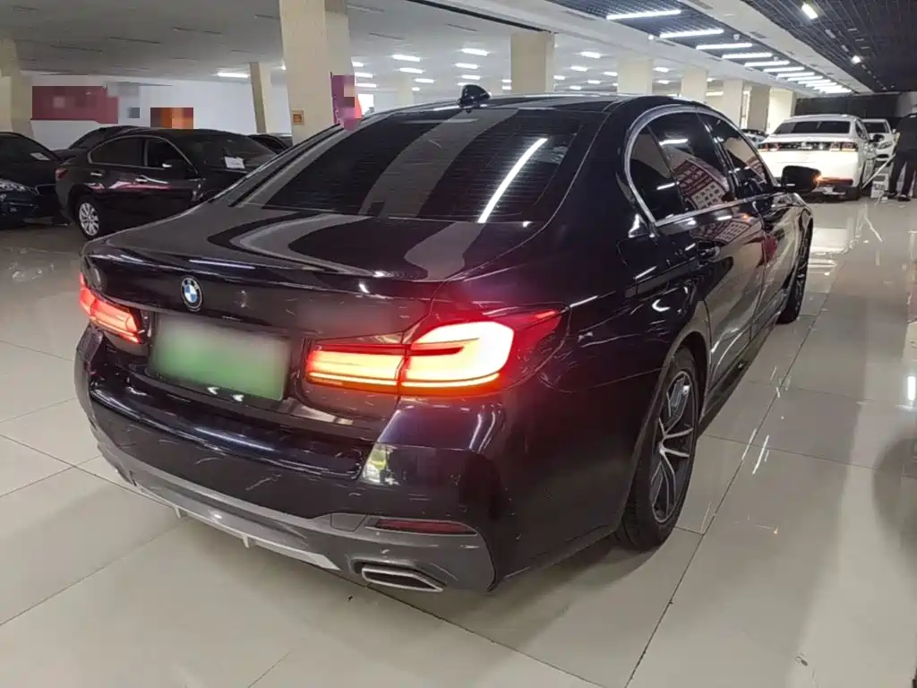BMW 5 Series New Energy 2021