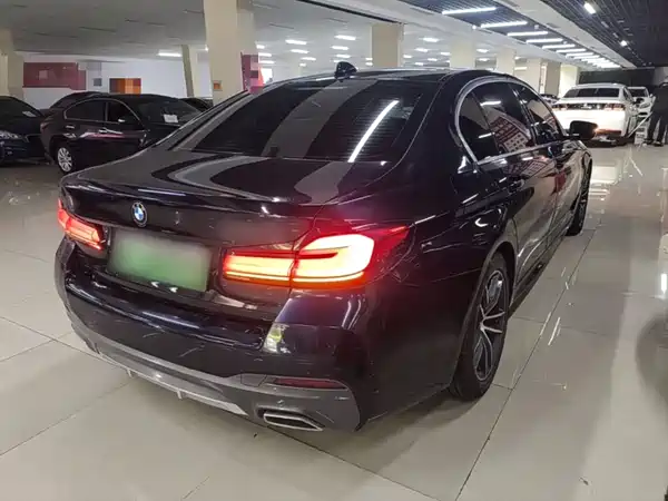 BMW 5 Series New Energy 2021
