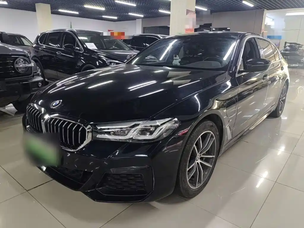 BMW 5 Series New Energy 2021
