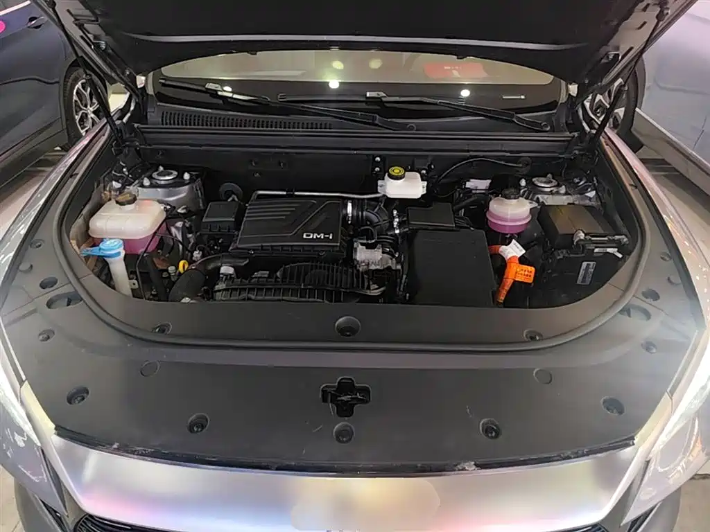 BYD Pro New Energy 2023 — фото 20