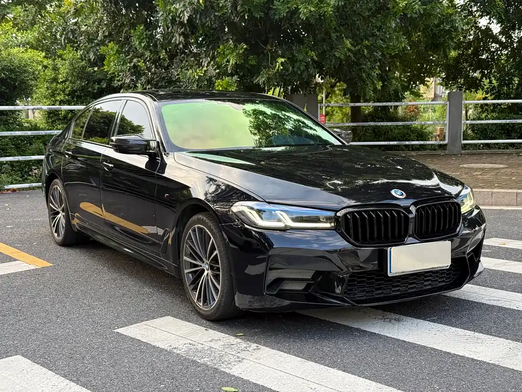 BMW 5 Series 2019