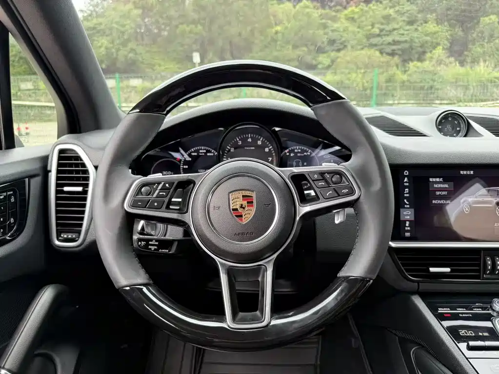 Porsche Cayenne 2019 — фото 11