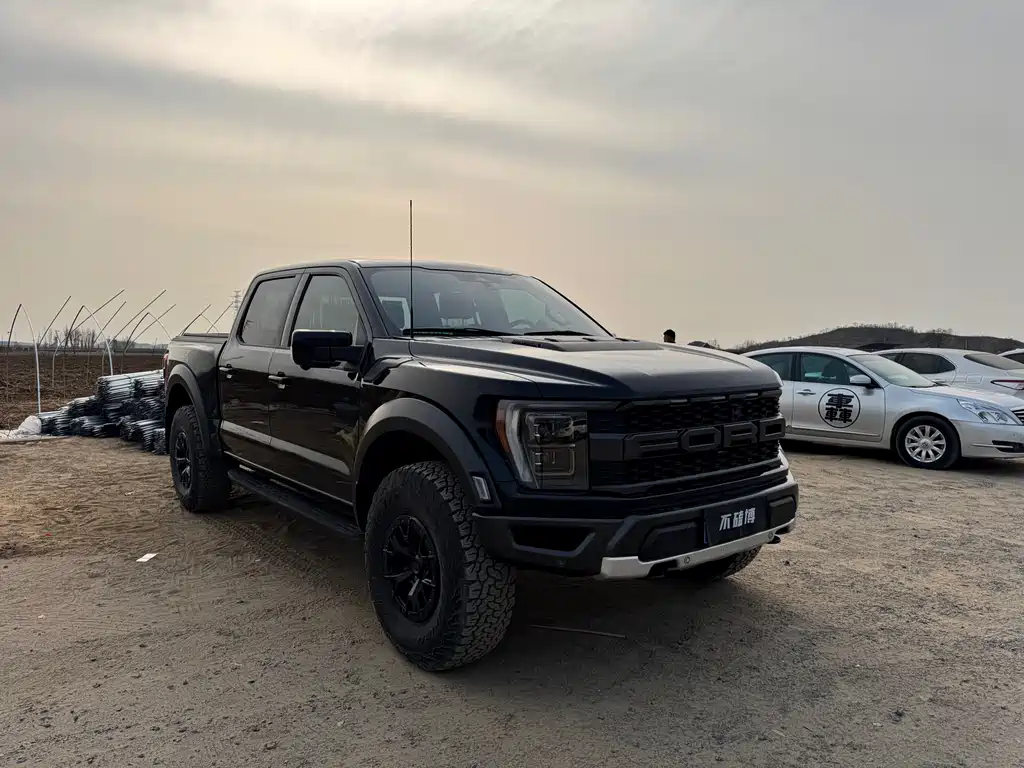 Ford F-150 Raptor 2023 — фото 3