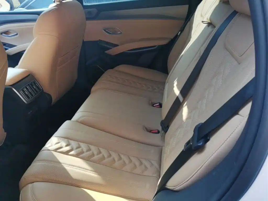 BYD L DM-i 2024 — фото 17