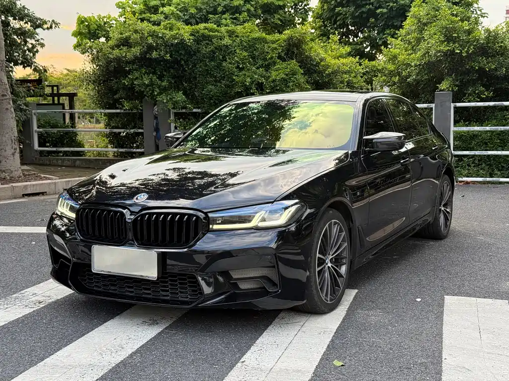 BMW 5 Series 2019