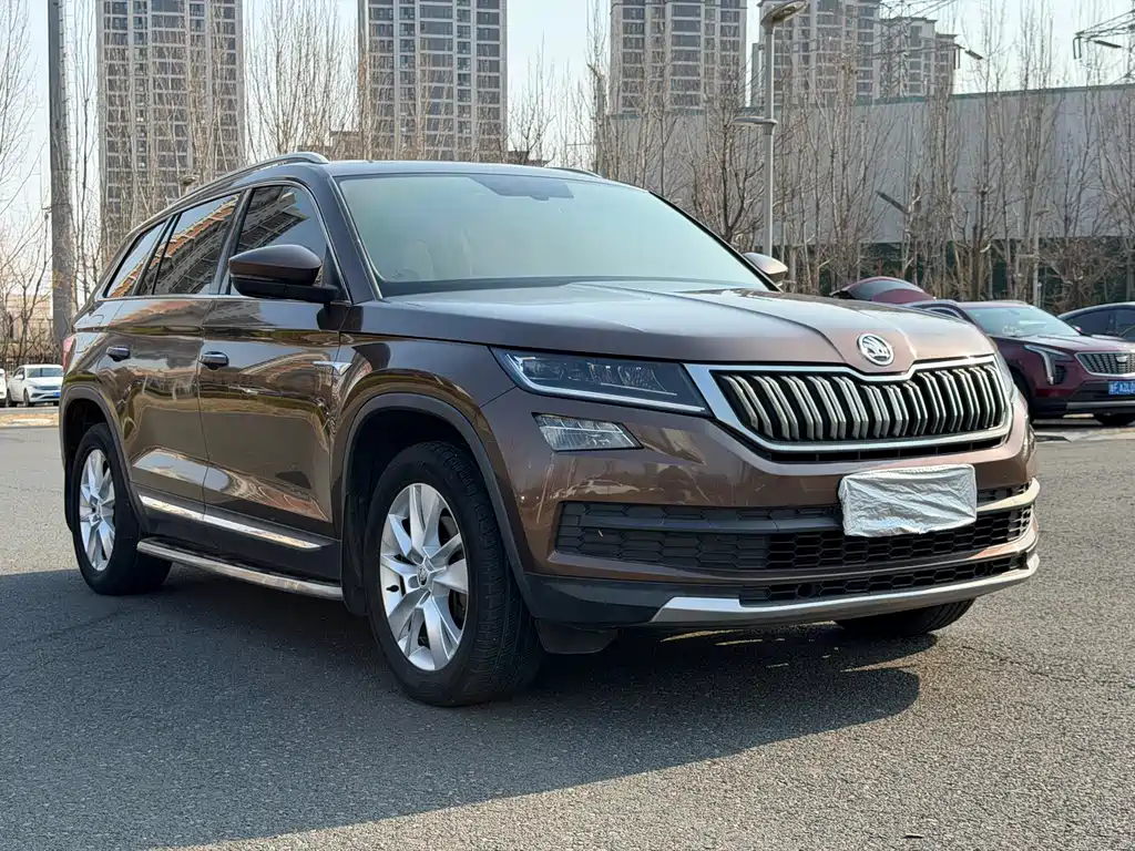 Skoda Kodiaq 2017 — фото 6