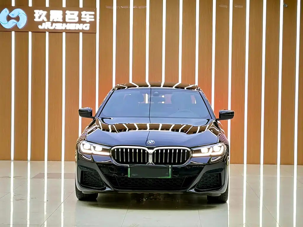 BMW 5 Series New Energy 2021