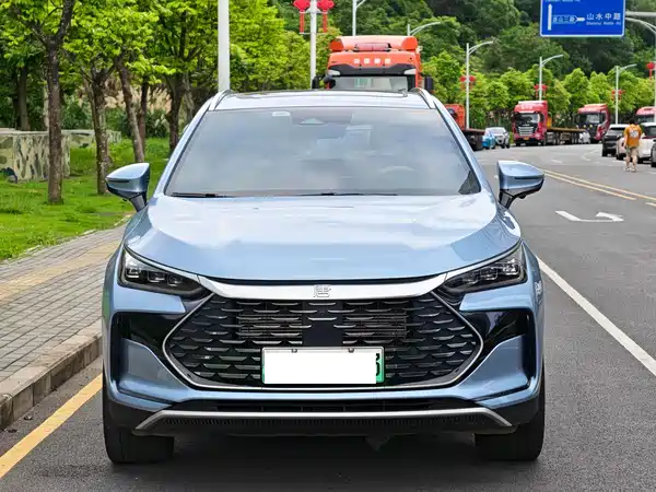 BYD Tang New Energy 2024