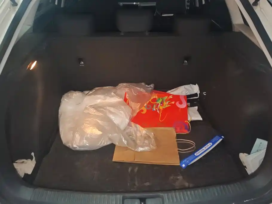 Volkswagen Gran Lavida 2015