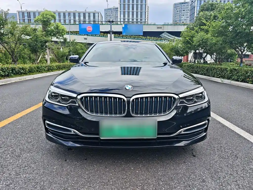BMW 5 Series New Energy 2019