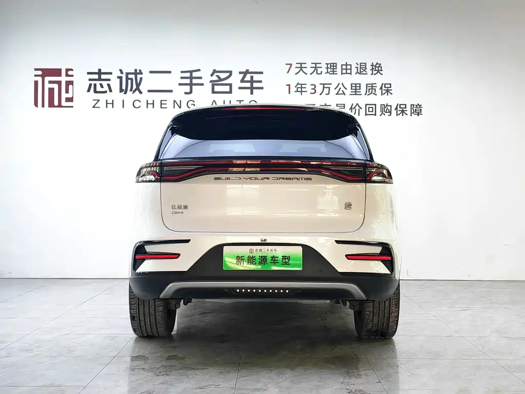 BYD Tang New Energy 2023 — фото 4