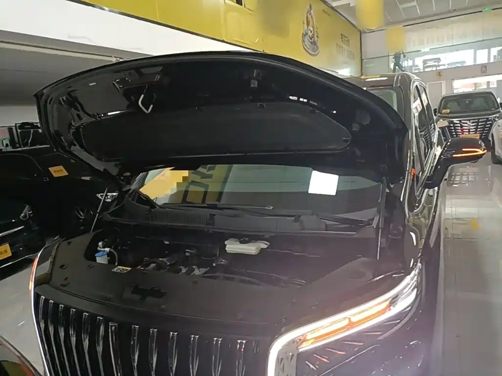 Hongqi HQ9 PHEV 2025 — фото 20