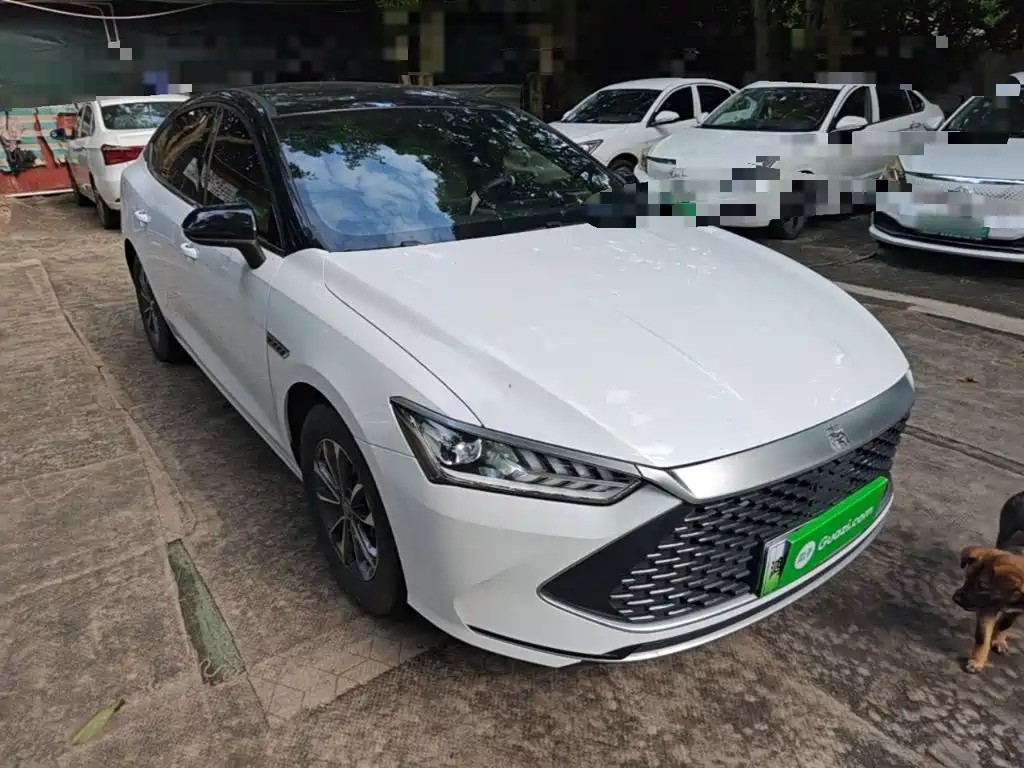 BYD Qin PLUS 2023