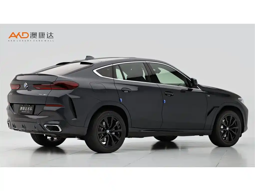 BMW X6 2021