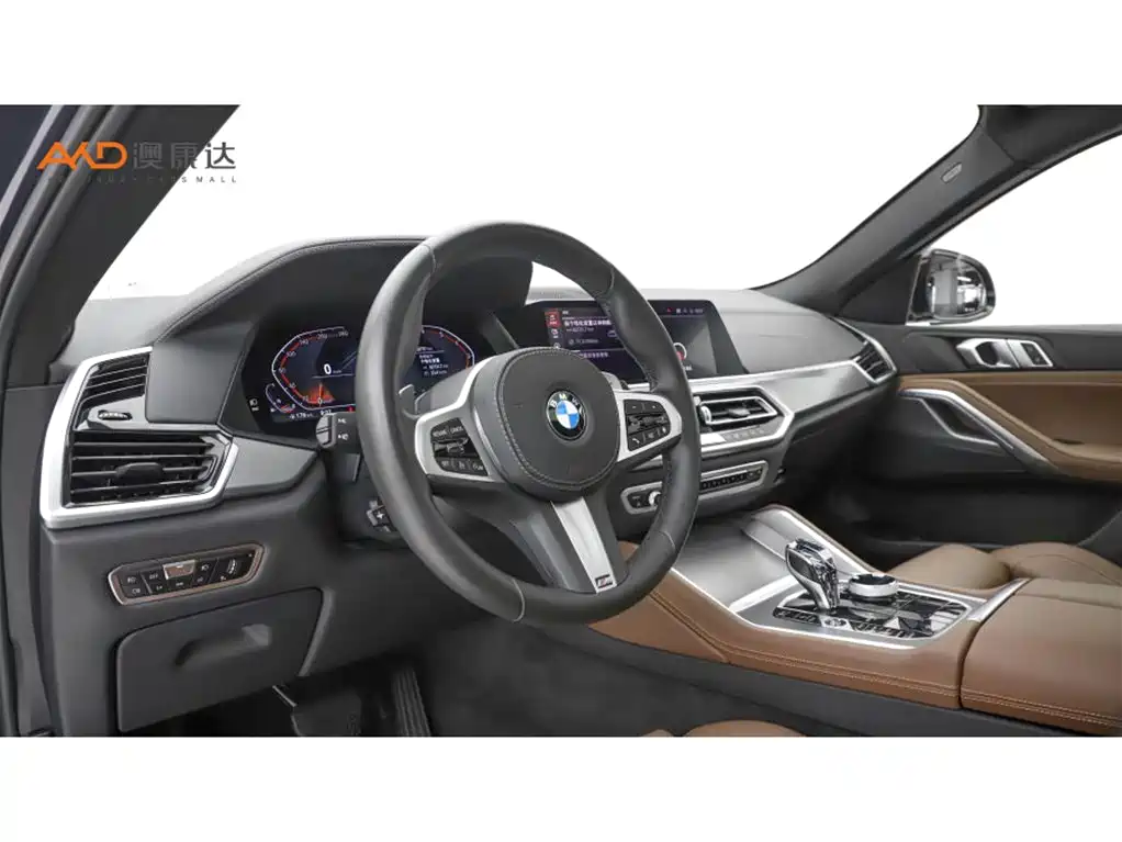 BMW X6 2021