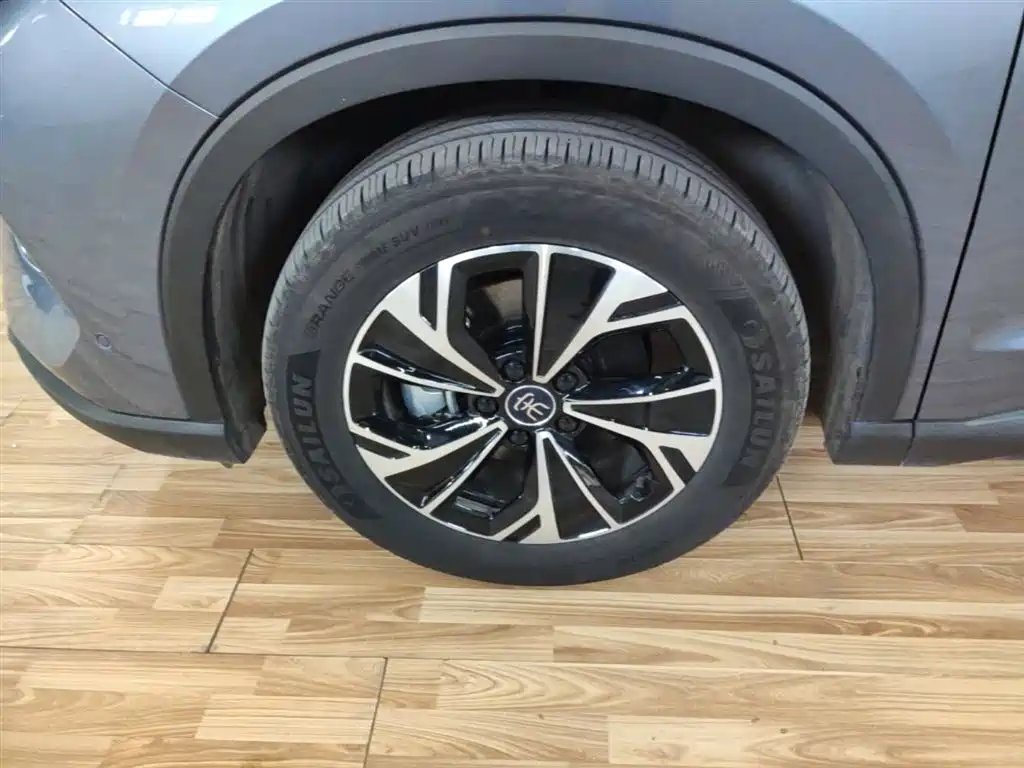 BYD Pro New Energy 2025 — фото 23