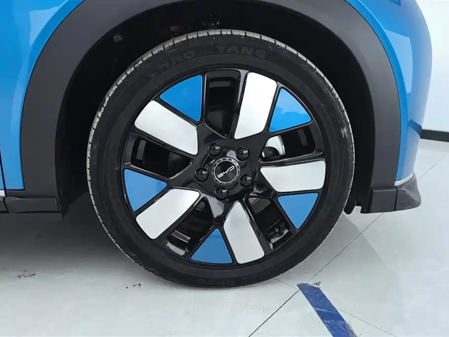 BYD Dolphin 2022
