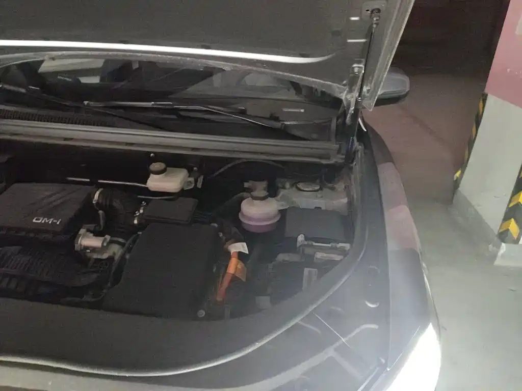 BYD Song Pro New Energy 2025 — фото 22
