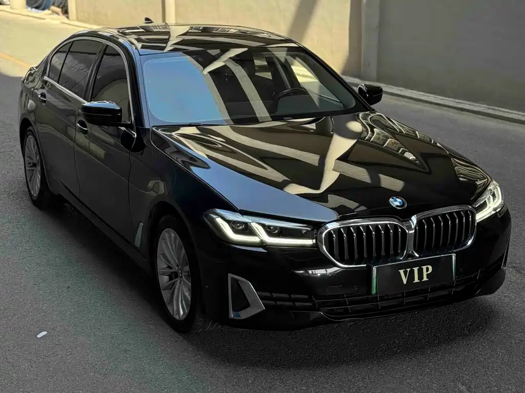 BMW 5 Series New Energy 2021