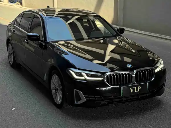 BMW 5 Series New Energy 2021