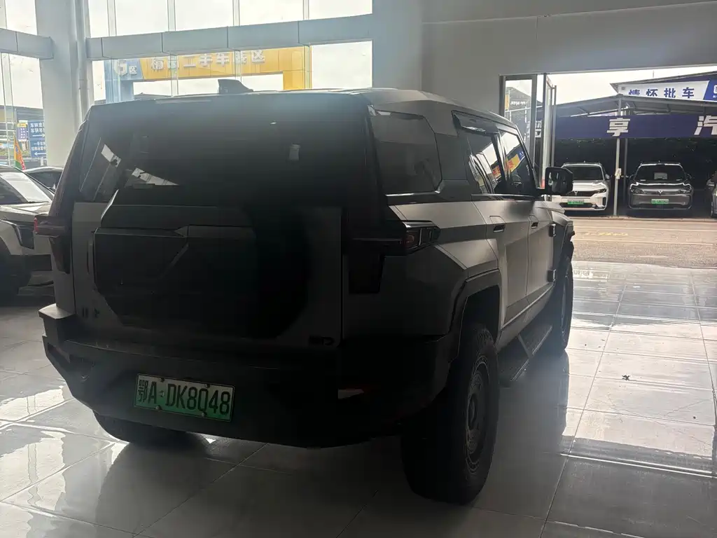 Mengshi 917 2024