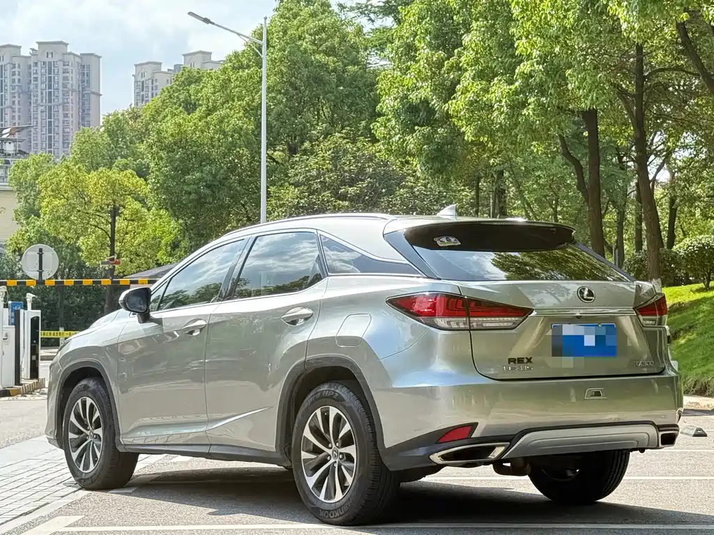 Lexus RX 2020 — фото 14