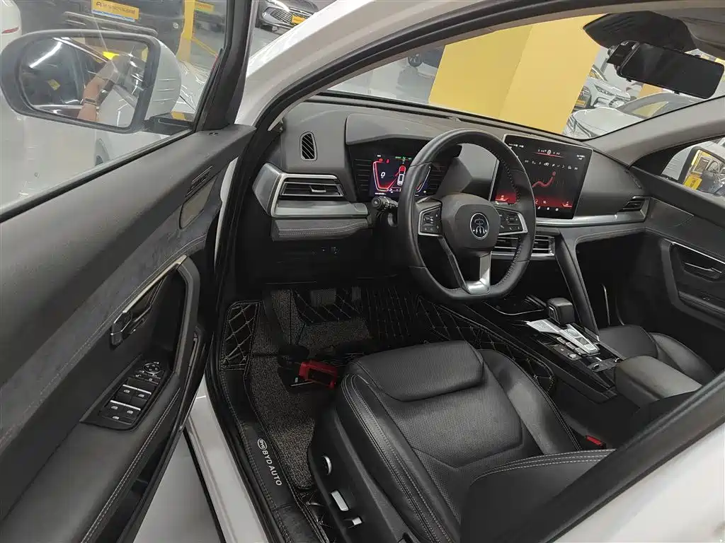 BYD Pro New Energy 2020 — фото 12