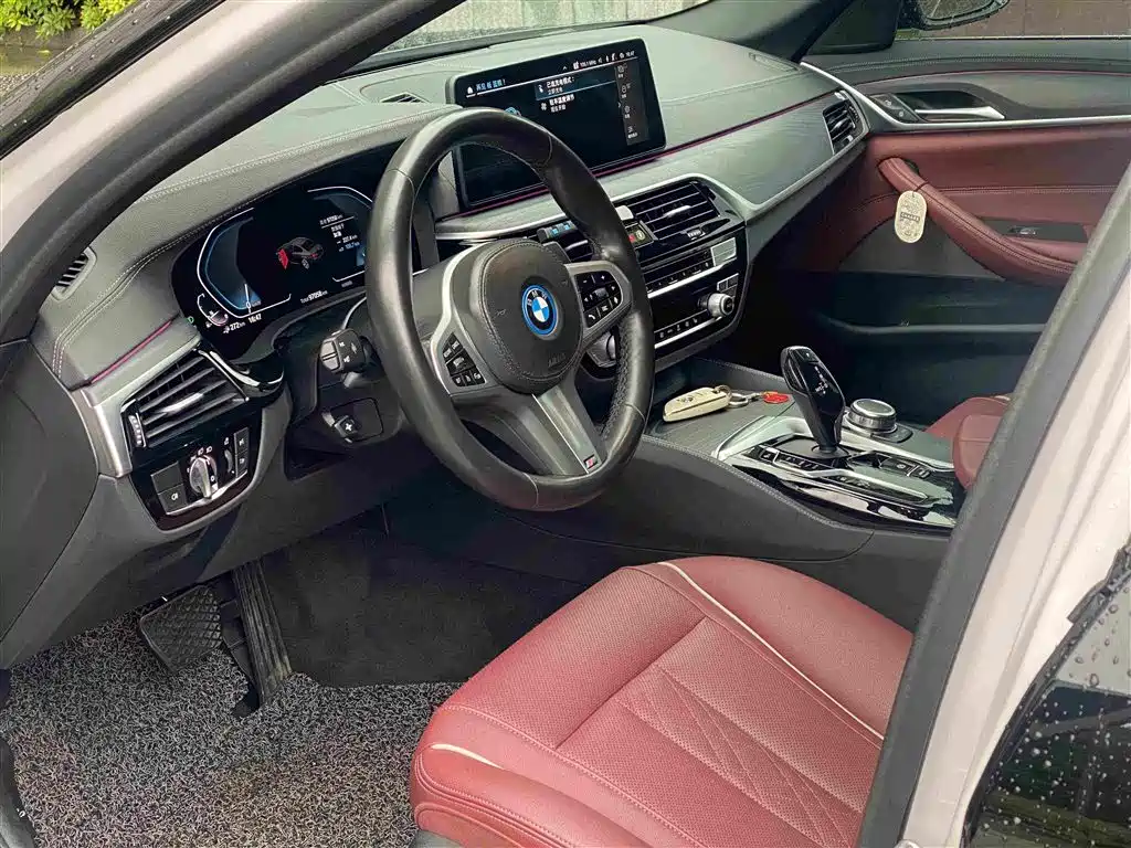 BMW 5 Series New Energy 2022