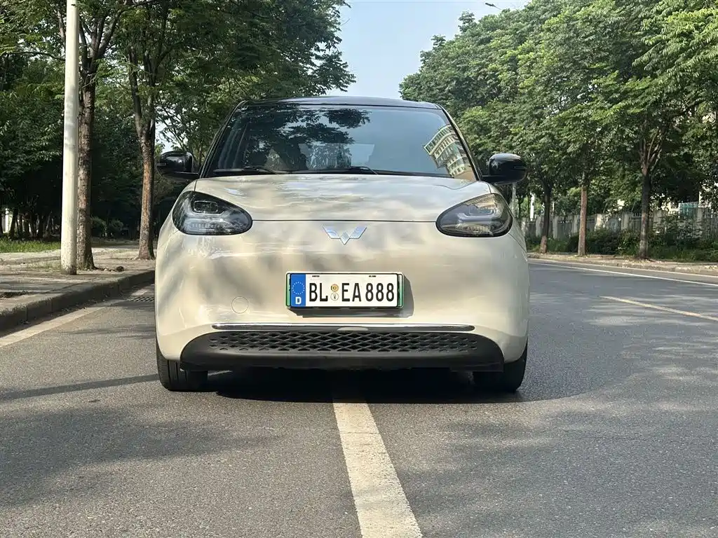 Wuling Bingo 2024