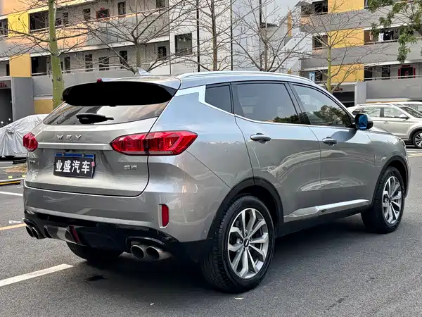 Wey VV6 2019
