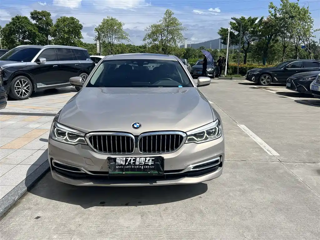 BMW 5 Series New Energy 2018