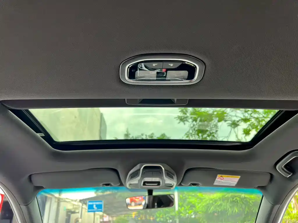 Geely Binrui 2020
