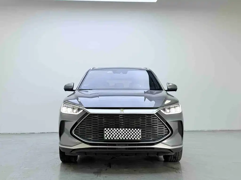 BYD PLUS New Energy 2022 — фото 2