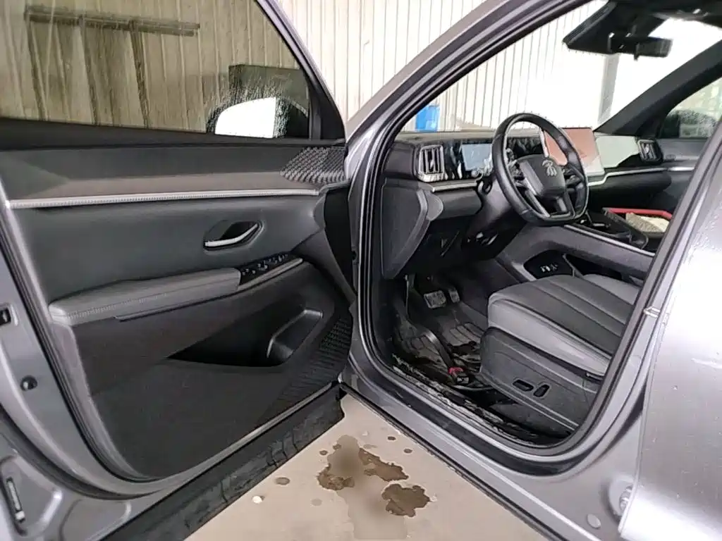 BYD Song Pro New Energy 2025 — фото 12