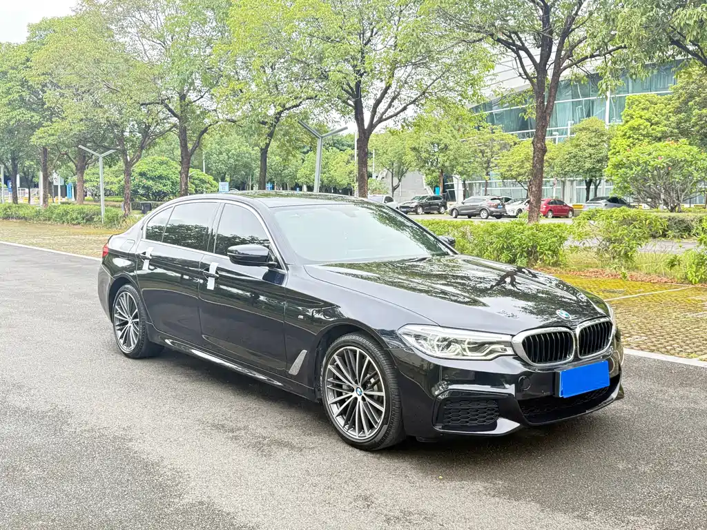 BMW 5 Series 2020