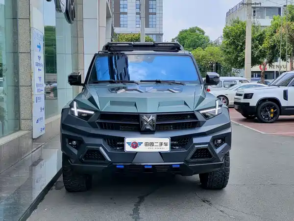 Mengshi 917 2026