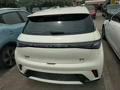 BYD Dolphin 2024