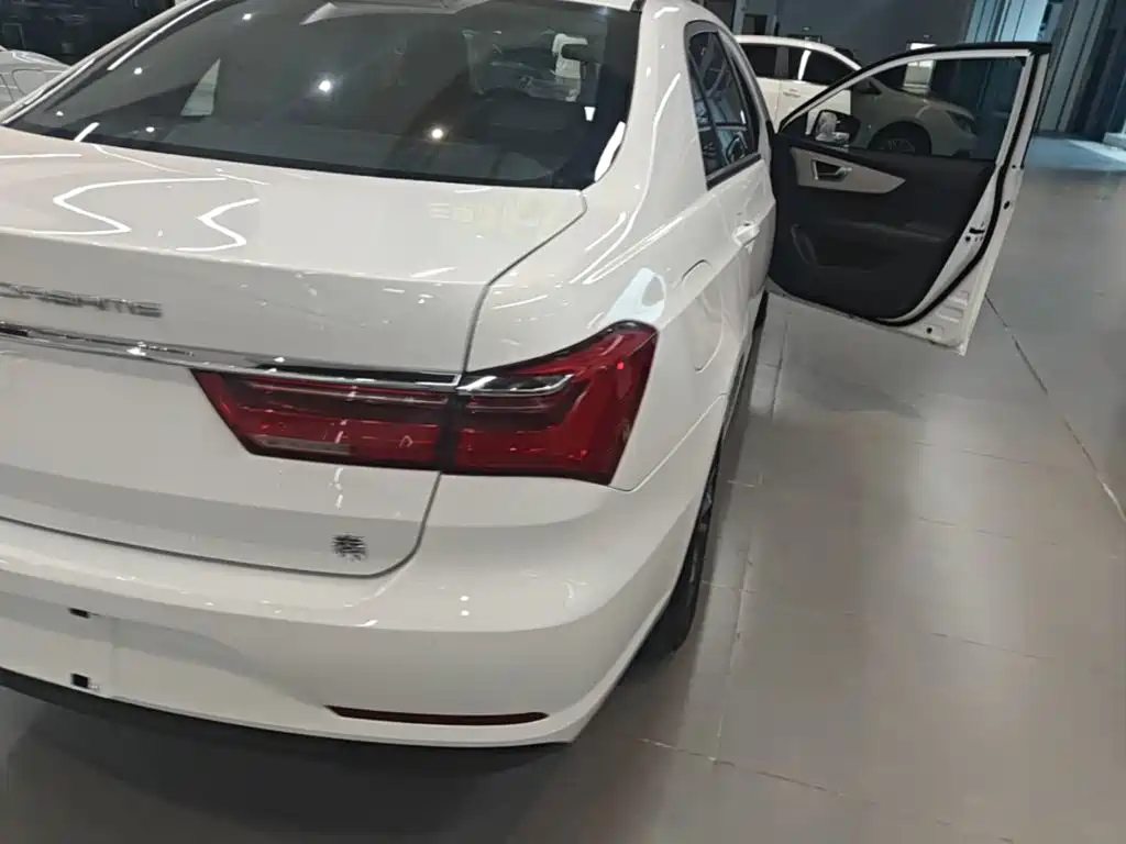 BYD Qin NEV 2024 — фото 8