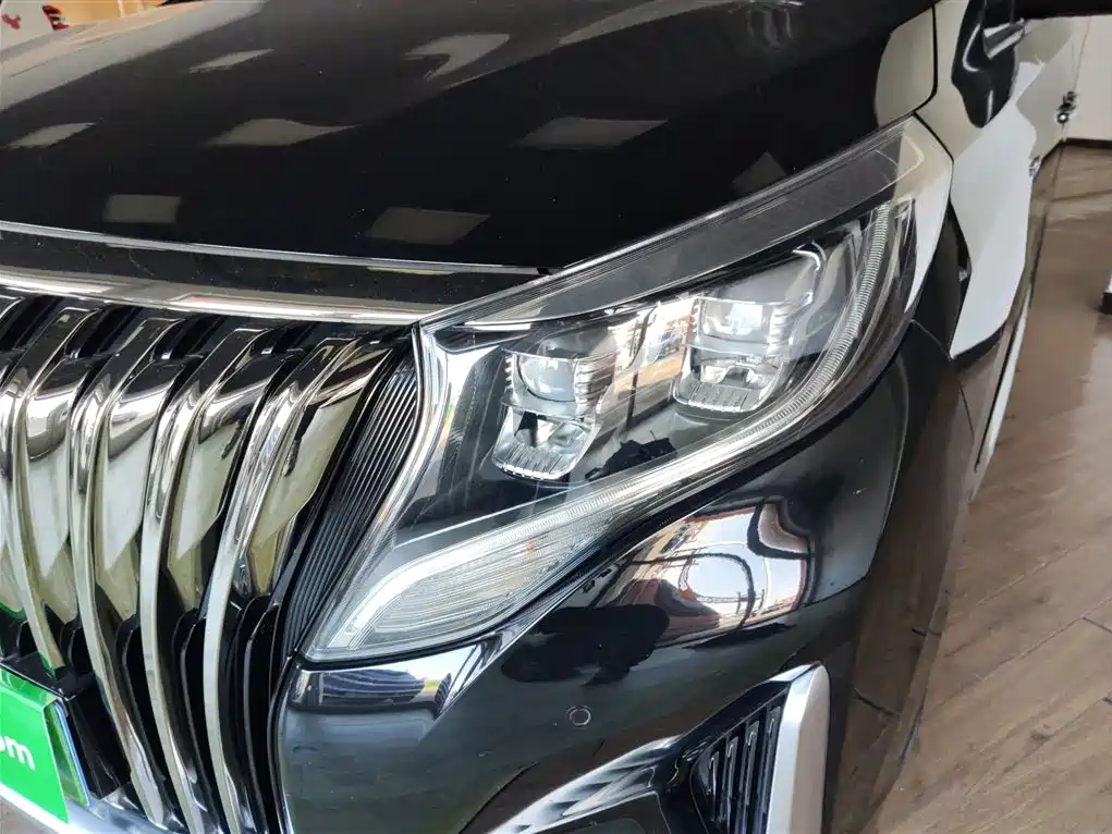 GAC Motor Trumpchi M8 2021 — фото 18