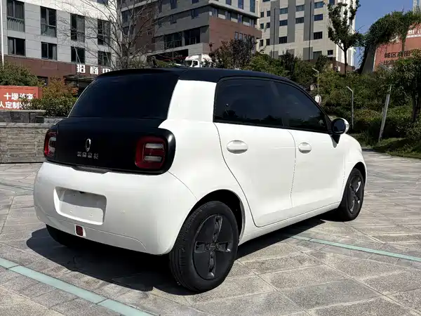 Ora Black Cat 2021