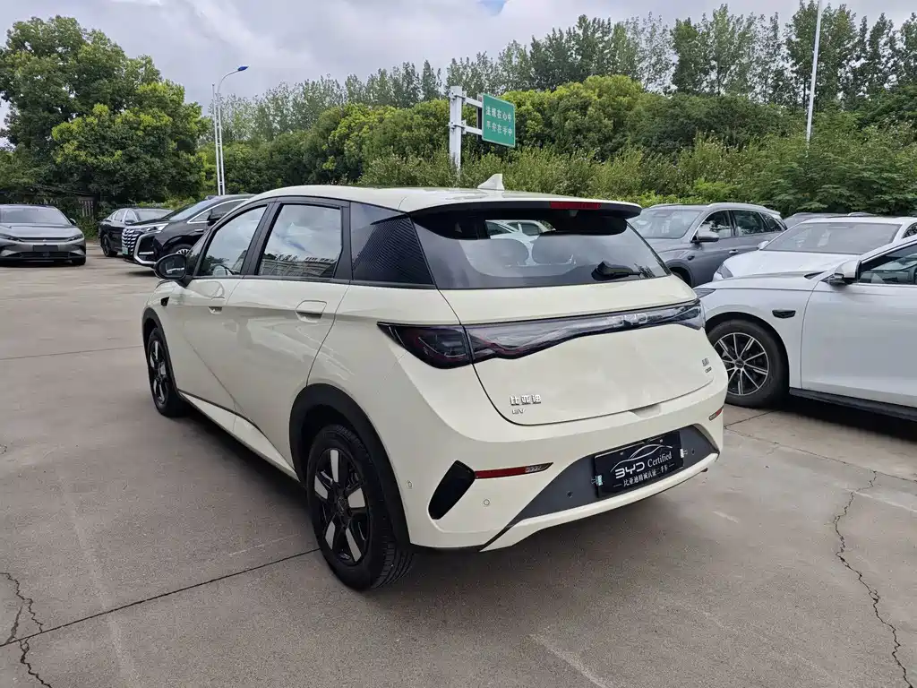 BYD Dolphin 2025