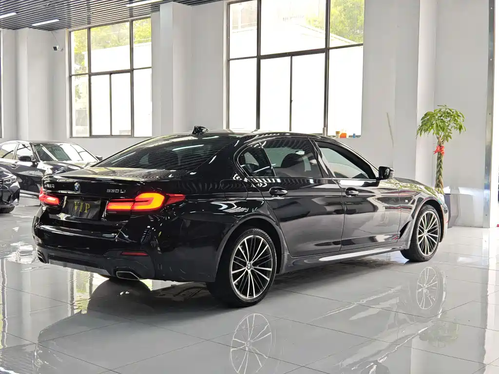 BMW 5 Series 2019 — фото 9