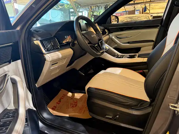 BYD Song PLUS New Energy 2024